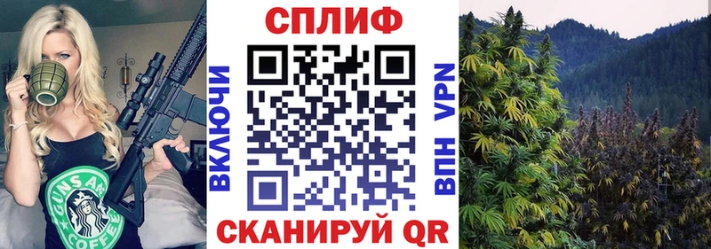 Бошки Шишки SATIVA & INDICA Шатура